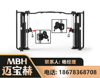 巴音郭楞大飞鸟训练器