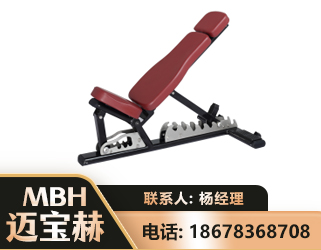 巴音郭楞可调哑铃椅