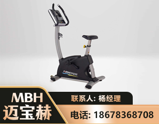 巴音郭楞立式健身车